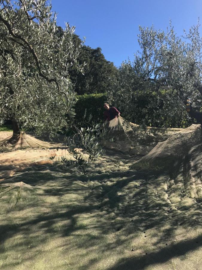 Podere Belvedere Livorno Exteriör bild